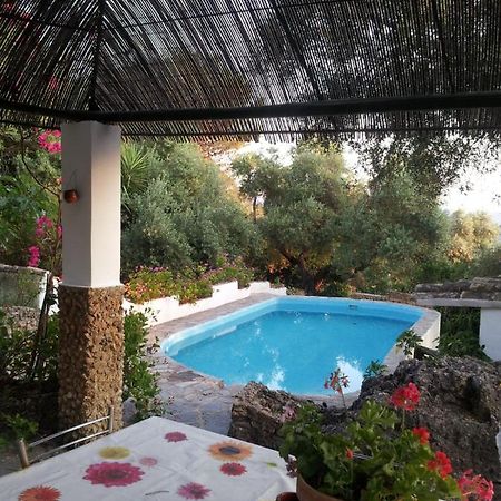 Casa El Cerro Villa El Bosque Eksteriør billede