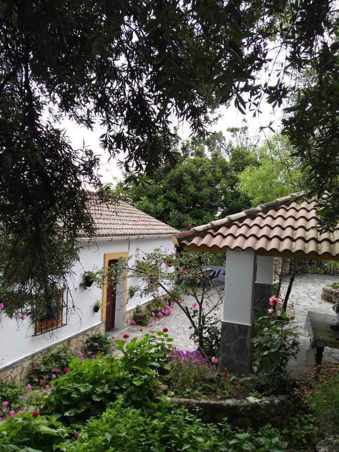 Casa El Cerro Villa El Bosque Eksteriør billede