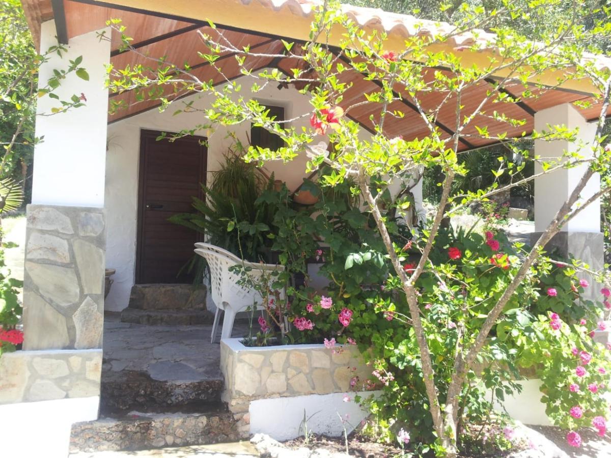 Casa El Cerro Villa El Bosque Eksteriør billede