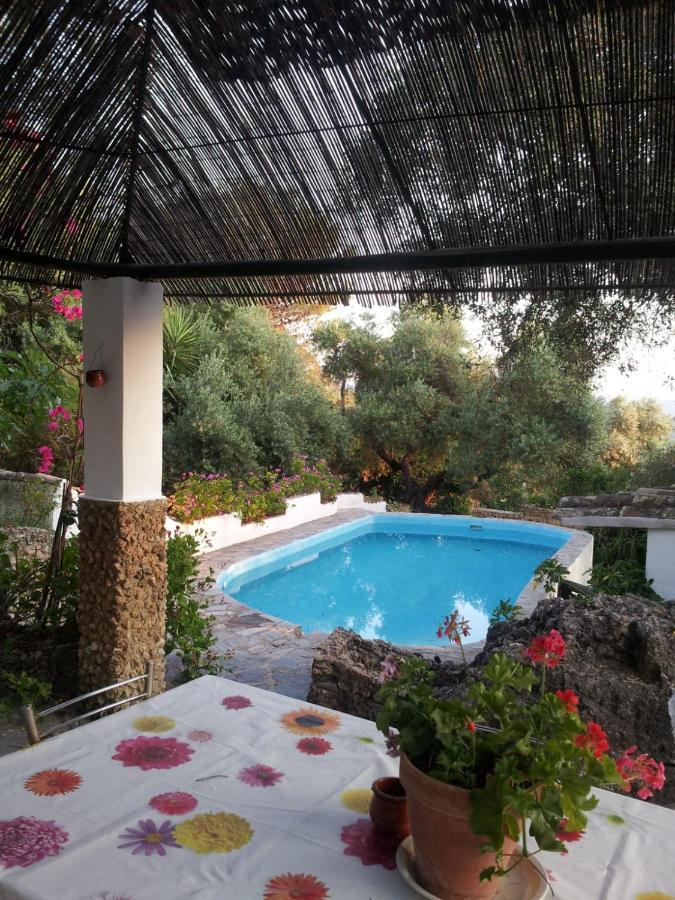 Casa El Cerro Villa El Bosque Eksteriør billede