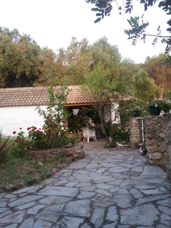 Casa El Cerro Villa El Bosque Eksteriør billede
