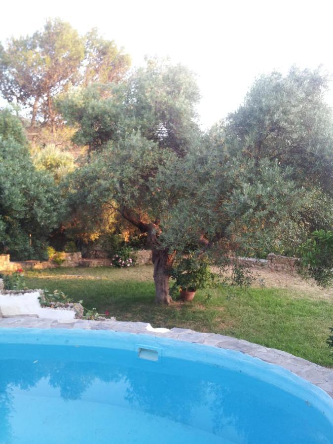 Casa El Cerro Villa El Bosque Eksteriør billede
